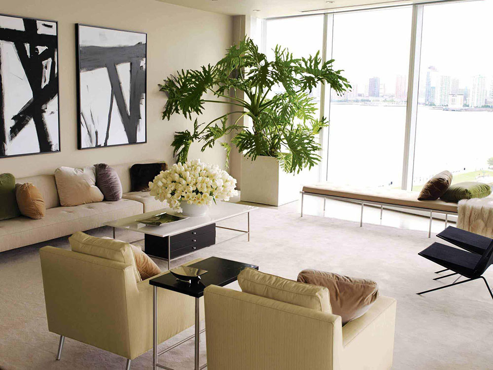 Living Room Plants Photo En guide för att skapa en avkopplande miljö