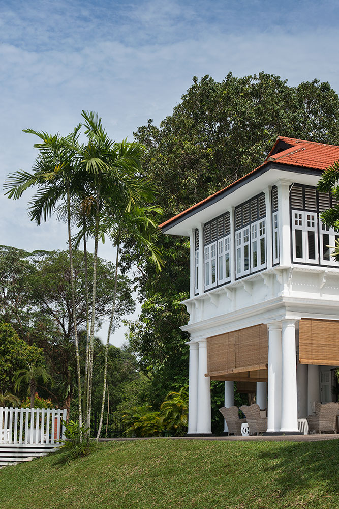 Hus i Singapore som har tagit naturen och blivit en del av den