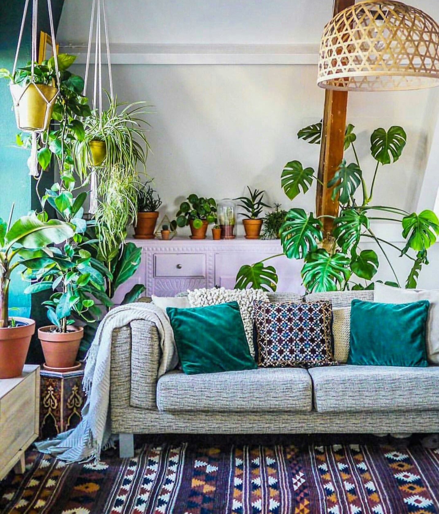 Idéer för att dekorera vardagsrummet med växter