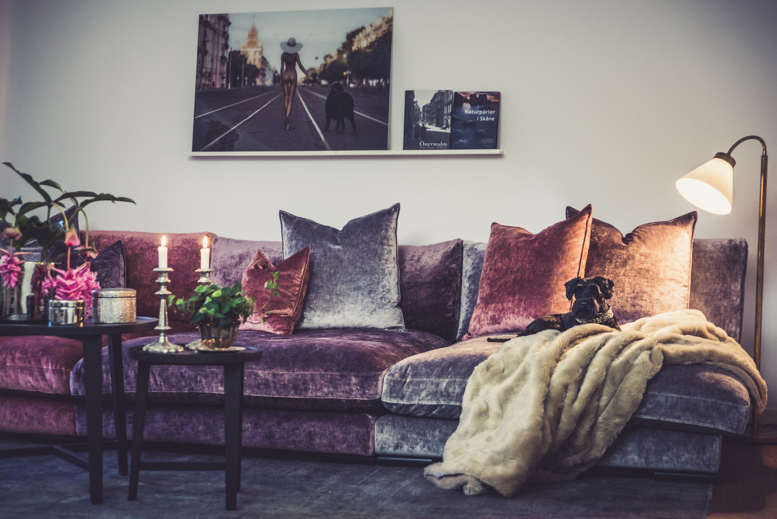 Snygga lila soffa designidéer